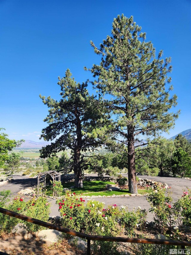 1220 Quail Ridge Rd, Gardnerville, NV 89460 - photo 3