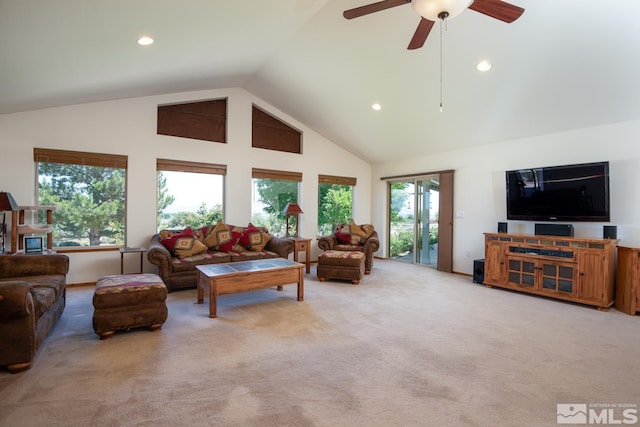 67 Pinon Dr, Wellington, NV 89444 - photo 5