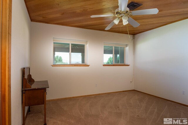 67 Pinon Dr, Wellington, NV 89444 - photo 21