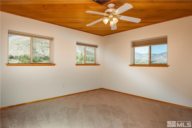 67 Pinon Dr, Wellington, NV 89444 - photo 23