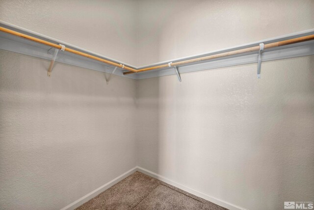10055 Zephyr Heights Dr, Reno, NV 89521 - spacious closet with carpet