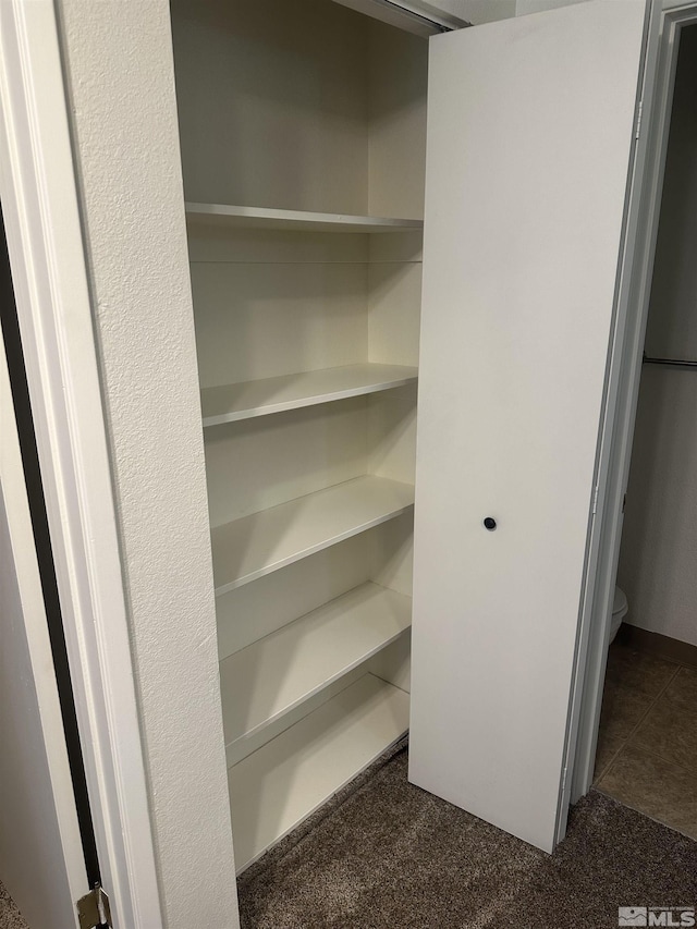 1465 E Peckham Ln Apt 40, Reno, NV 89502 - view of closet