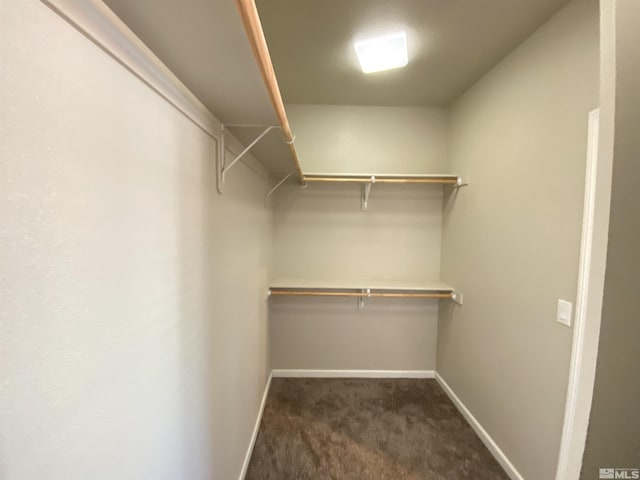 756 Iron Stirrup Ct, Sparks, NV 89436 - walk in closet with dark colored carpet