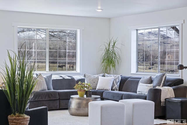 915 Maple Creek Ct, Reno, NV 89511 - view of living area