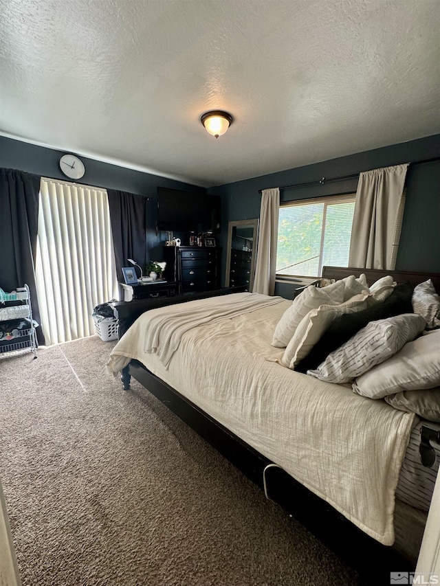 96 E Eisenhower Ave, Winnemucca, NV 89445 - bedroom with carpet floors and a textured ceiling