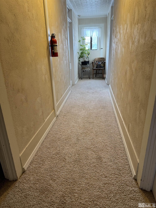 85 S Main, Paradise Valley, NV 89426 - corridor featuring carpet flooring, baseboards, and a textured wall