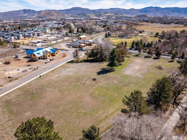 6320 Falabella Ct, Reno, NV 89511