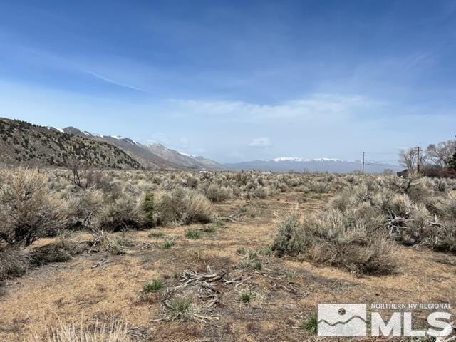 LOTX3 US Highway 395, Coleville, CA 96107 - photo 1