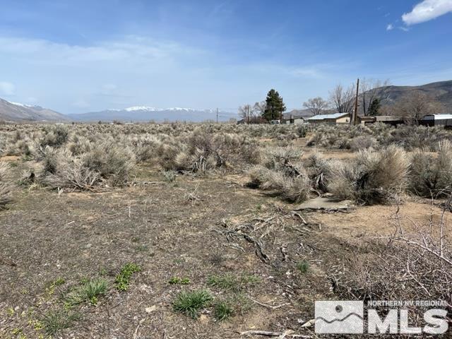 LOTX3 US Highway 395, Coleville, CA 96107 - photo 2