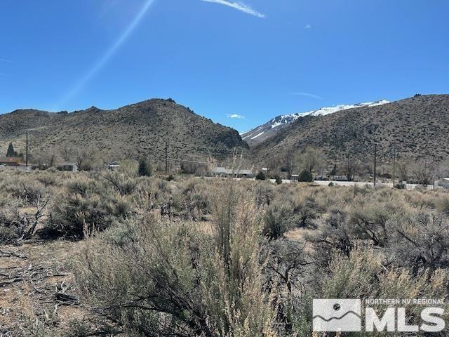 LOTX3 US Highway 395, Coleville, CA 96107 - photo 5