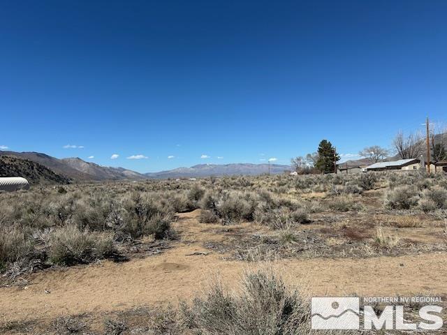 LOTX3 US Highway 395, Coleville, CA 96107 - photo 6