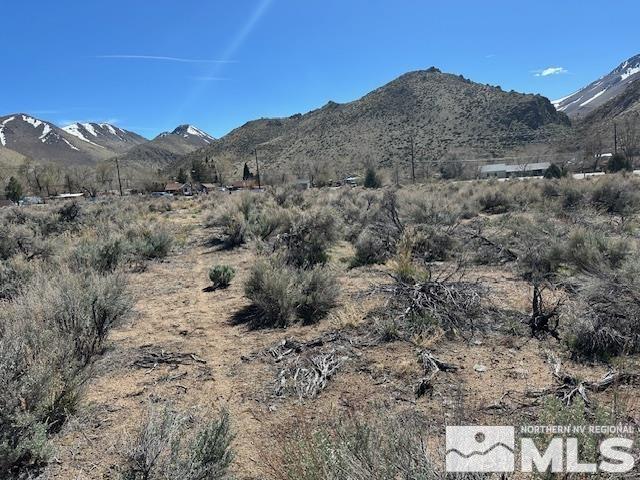LOTX3 US Highway 395, Coleville, CA 96107 - photo 7