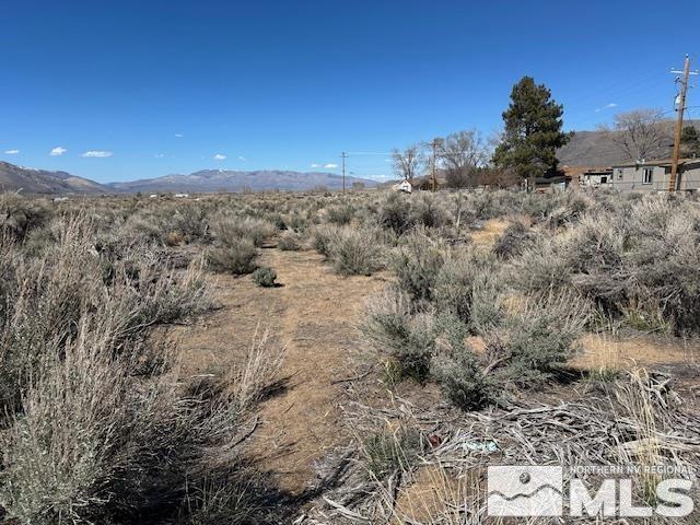 LOTX3 US Highway 395, Coleville, CA 96107 - photo 8