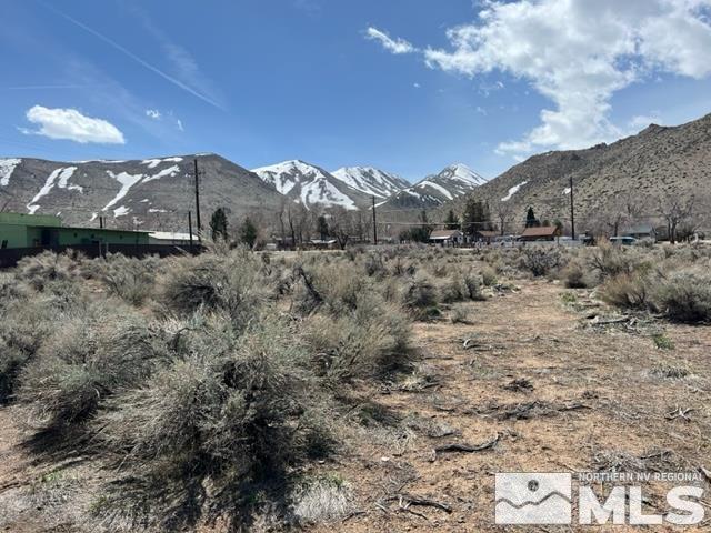 LOTX3 US Highway 395, Coleville, CA 96107 - photo 9