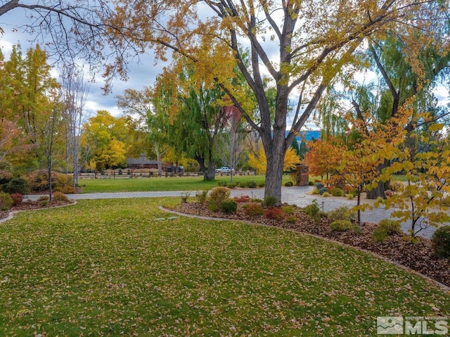 4090 Goodsell Ln, Reno, NV 89523 - view of grassy yard