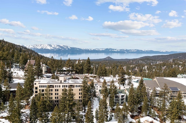 331 Tramway Dr # 26, Stateline, NV 89449 - mountain view with a heavily wooded area
