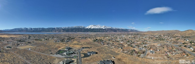 3020 Kauffmann Ct, Washoe Valley, NV 89704 - photo 26