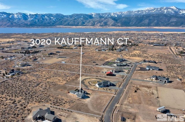 3020 Kauffmann Ct, Washoe Valley, NV 89704 - photo 27
