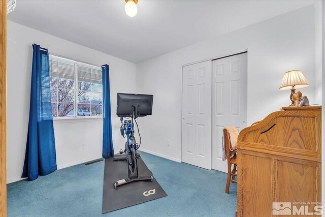 654 Bluerock Rd, Gardnerville, NV 89460 - photo 15