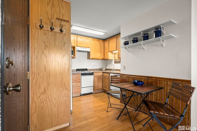 2450 Lymbery St Unit 206, Reno, NV 89509 - kitchen featuring white range oven, under cabinet range hood, a sink, light wood-style flooring, and wood walls