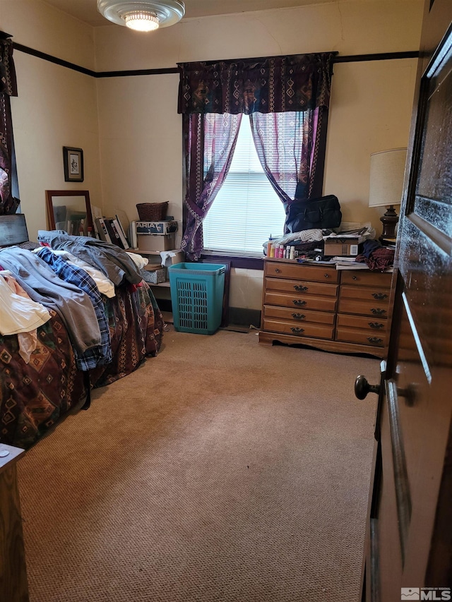 449 W 2nd St, Winnemucca, NV 89445 - view of carpeted bedroom