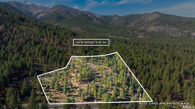 145 W Jeffrey Pine Rd, Reno, NV 89511 - photo 2