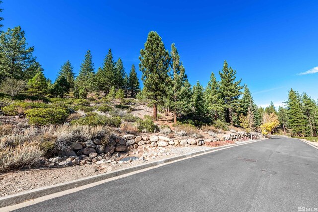 145 W Jeffrey Pine Rd, Reno, NV 89511 - photo 5