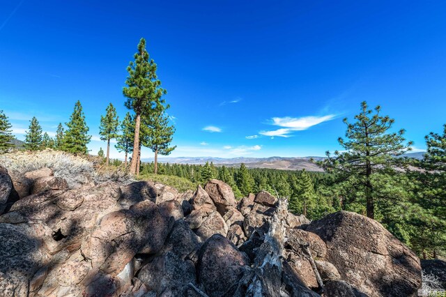 145 W Jeffrey Pine Rd, Reno, NV 89511 - photo 6
