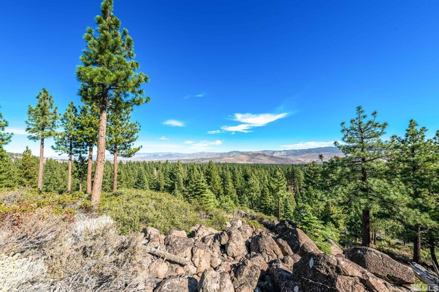 145 W Jeffrey Pine Rd, Reno, NV 89511 - photo 7