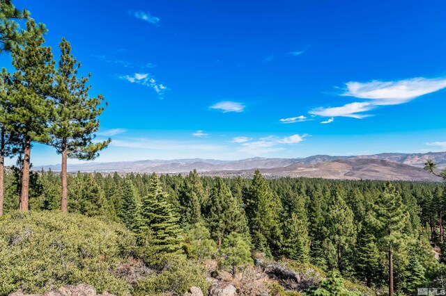 145 W Jeffrey Pine Rd, Reno, NV 89511 - photo 8