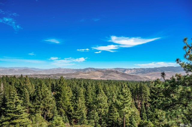 145 W Jeffrey Pine Rd, Reno, NV 89511 - photo 10