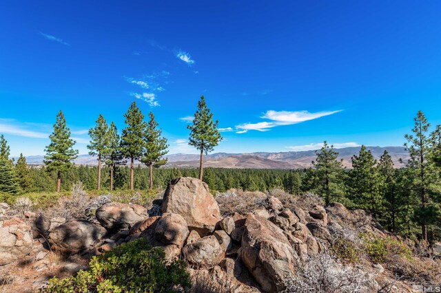 145 W Jeffrey Pine Rd, Reno, NV 89511 - photo 11