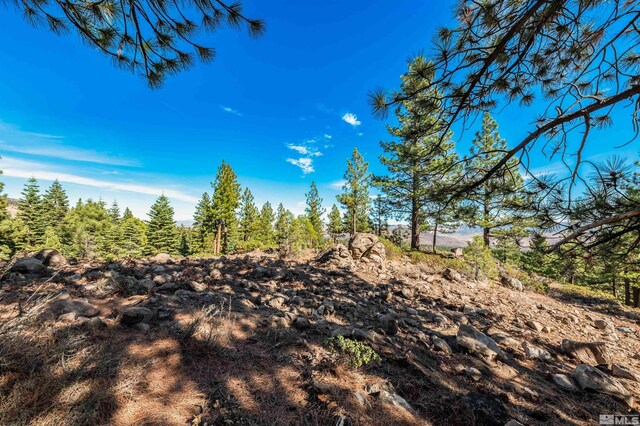 145 W Jeffrey Pine Rd, Reno, NV 89511 - photo 12