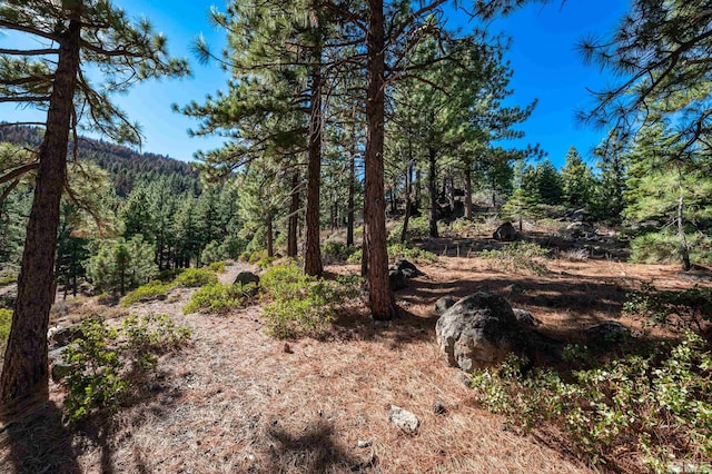 145 W Jeffrey Pine Rd, Reno, NV 89511 - photo 13