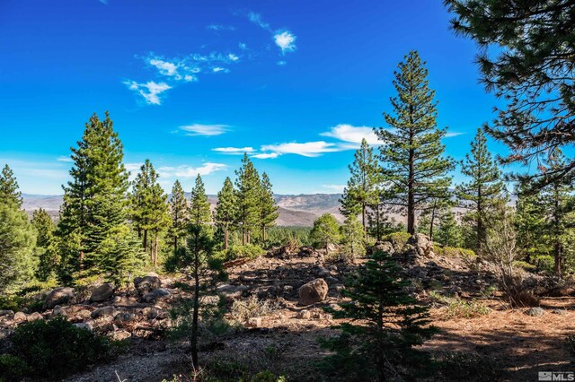 145 W Jeffrey Pine Rd, Reno, NV 89511 - photo 14