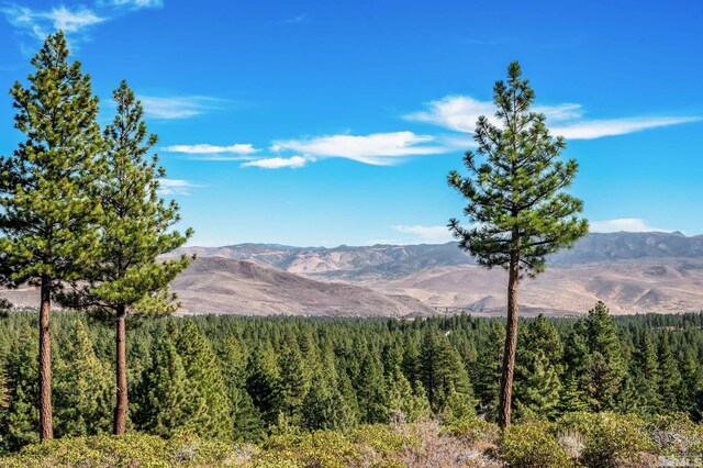 145 W Jeffrey Pine Rd, Reno, NV 89511 - photo 15