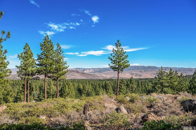 145 W Jeffrey Pine Rd, Reno, NV 89511 - photo 16