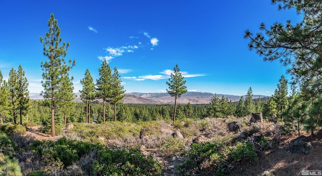 145 W Jeffrey Pine Rd, Reno, NV 89511 - photo 17