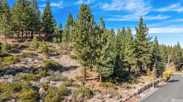 145 W Jeffrey Pine Rd, Reno, NV 89511 - photo 18