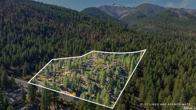 145 W Jeffrey Pine Rd, Reno, NV 89511 - photo 19
