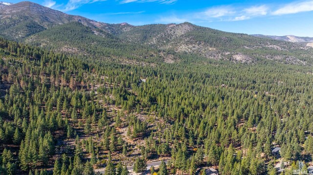 145 W Jeffrey Pine Rd, Reno, NV 89511 - photo 20