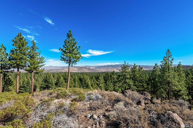 145 W Jeffrey Pine Rd, Reno, NV 89511 - photo 24