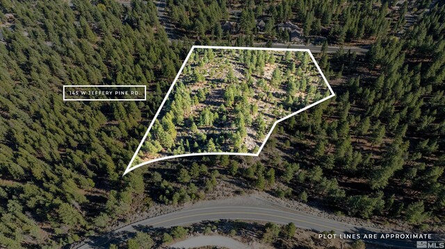 145 W Jeffrey Pine Rd, Reno, NV 89511 - photo 25