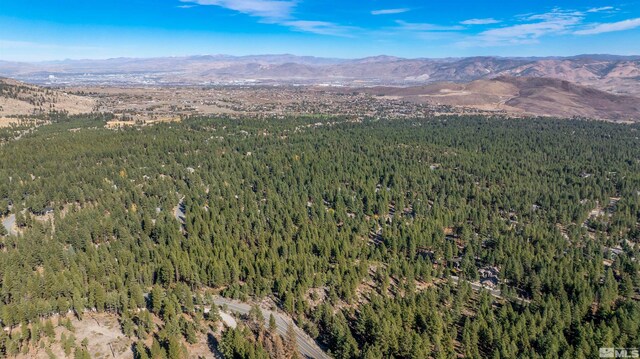 145 W Jeffrey Pine Rd, Reno, NV 89511 - photo 26