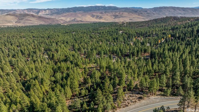 145 W Jeffrey Pine Rd, Reno, NV 89511 - photo 29