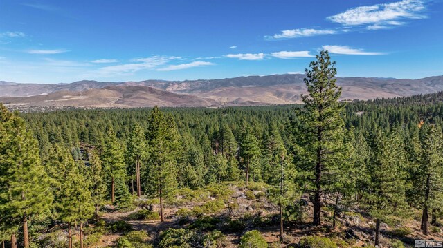 145 W Jeffrey Pine Rd, Reno, NV 89511 - photo 31