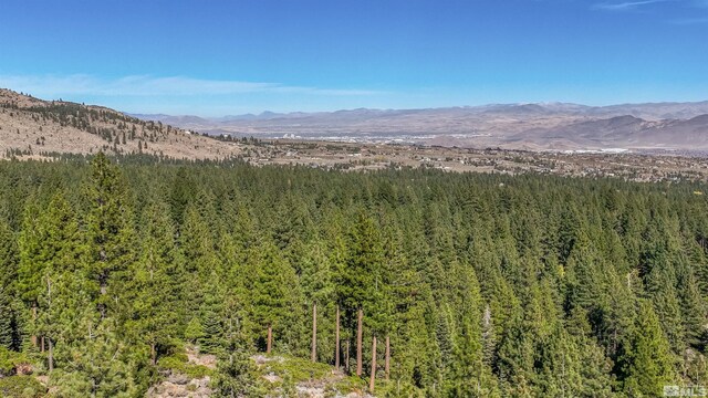 145 W Jeffrey Pine Rd, Reno, NV 89511 - photo 32