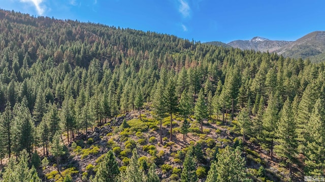 145 W Jeffrey Pine Rd, Reno, NV 89511 - photo 33