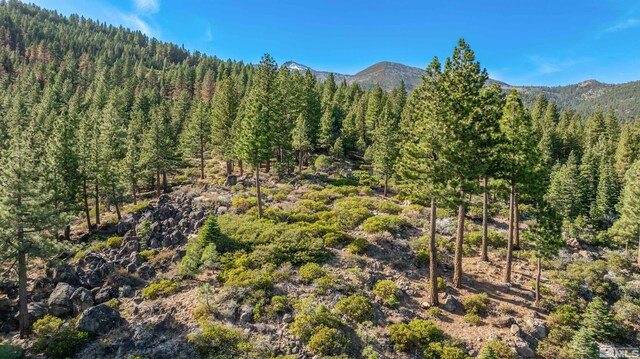 145 W Jeffrey Pine Rd, Reno, NV 89511 - photo 34