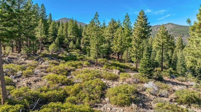 145 W Jeffrey Pine Rd, Reno, NV 89511 - photo 35